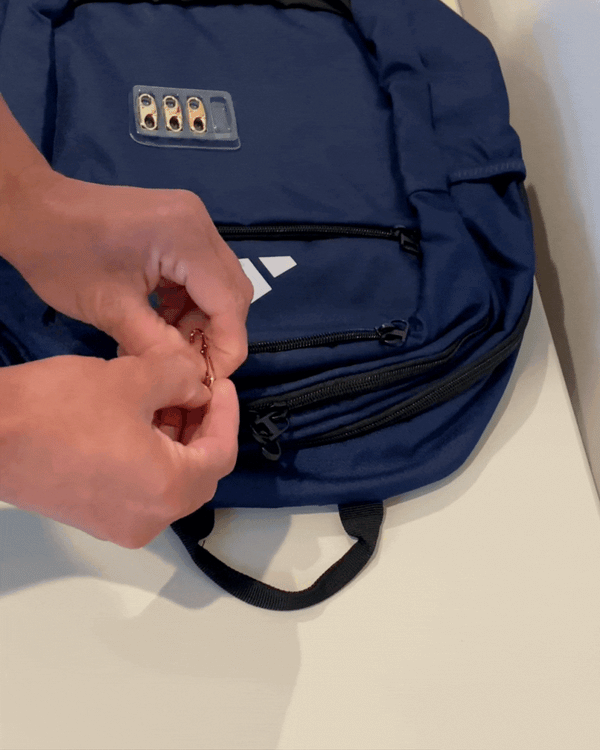Versatile Clip for Bags