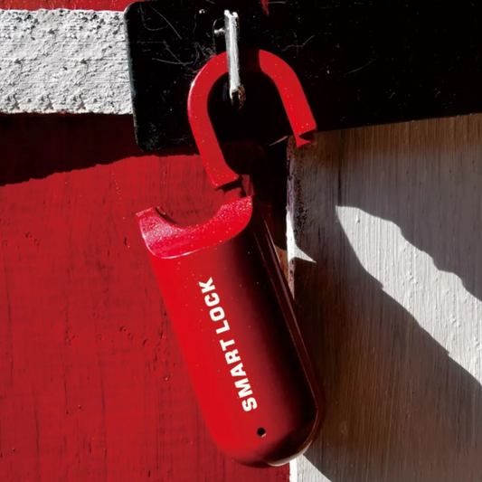 Smart Fingerprint Lock